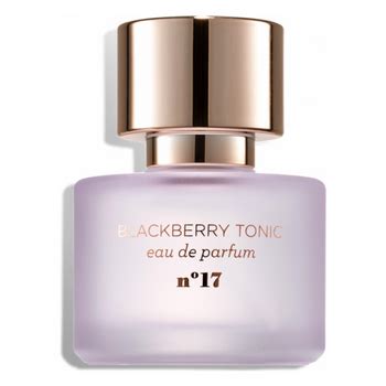 blackberry tonic perfume dupe|Blackberry Tonic EDP — MIX:BAR.